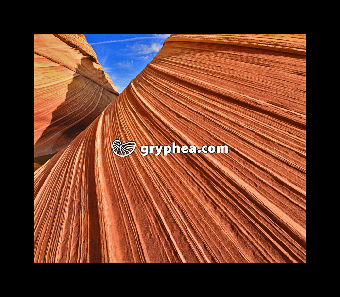 The Wave - Formations gréseuses (Utah, USA) - gryphea.com